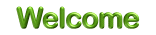 �l�b�g�V���b�v�@��